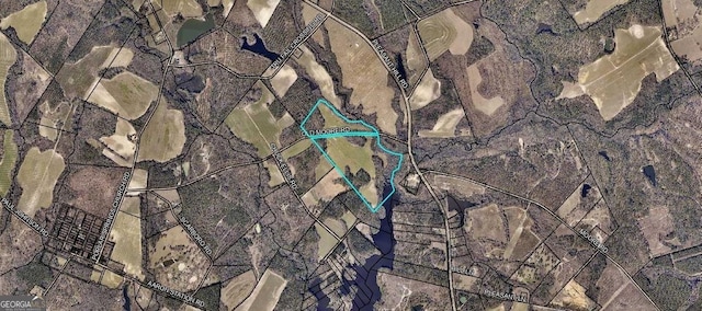0 Old Moore Rd, Portal, GA 30450