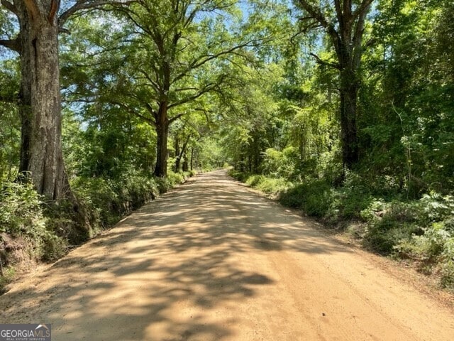 0 Old Moore Rd, Portal, GA 30450