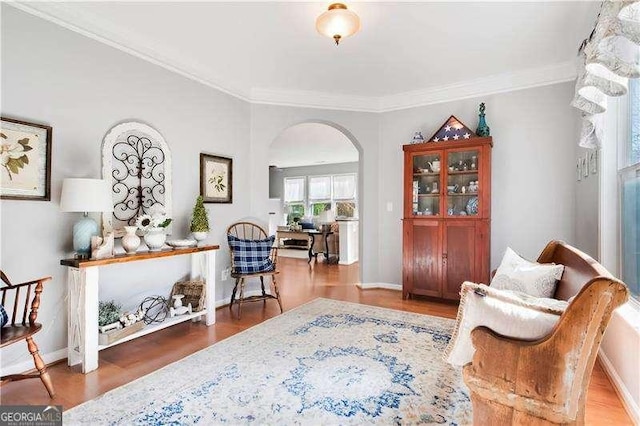 233 Hampton Station Blvd, Canton, GA 30115 - sitting room with arched walkways, ornamental molding, and wood finished floors