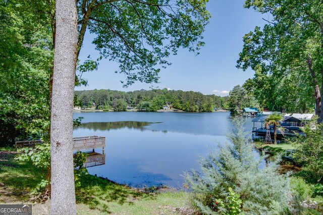 water view with a forest
