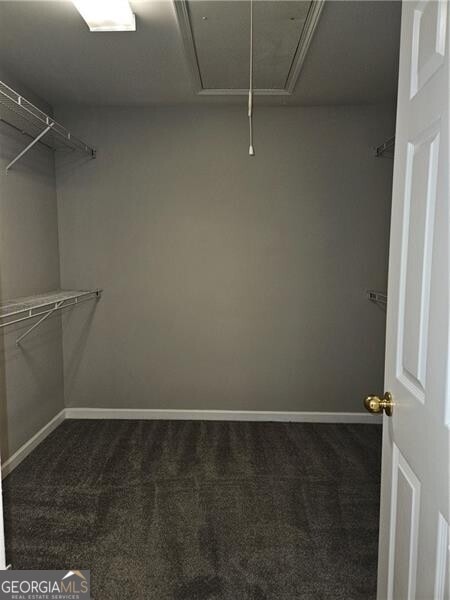 spacious closet featuring attic access and dark colored carpet