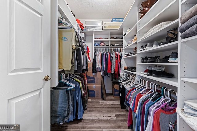 spacious closet featuring wood finished floors