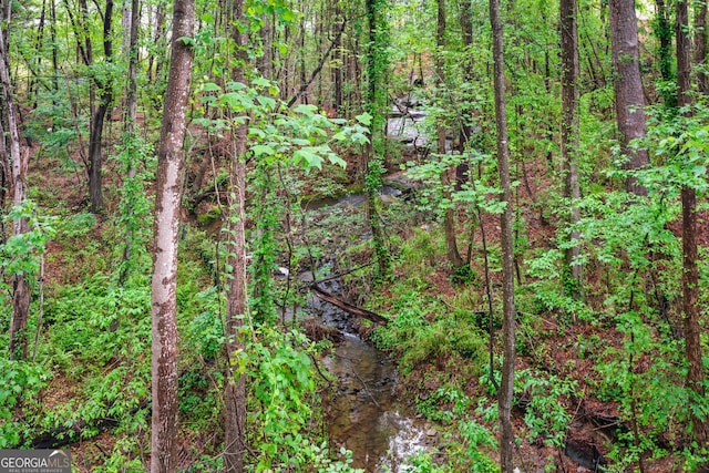view of local wilderness with a view of trees