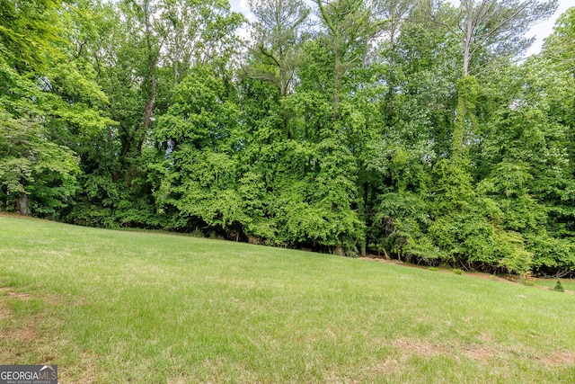 view of grassy yard