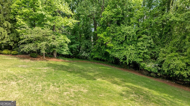 view of green lawn