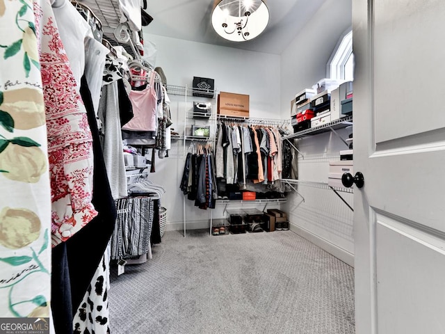 1141 Addington Ln, Waleska, GA 30183 - spacious closet with carpet floors