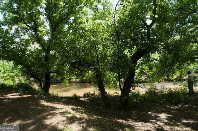 view of nature