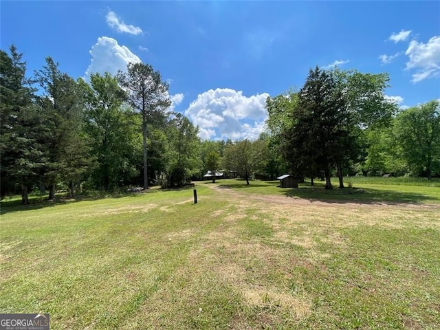 view of yard featuring a storage unit and a forest view