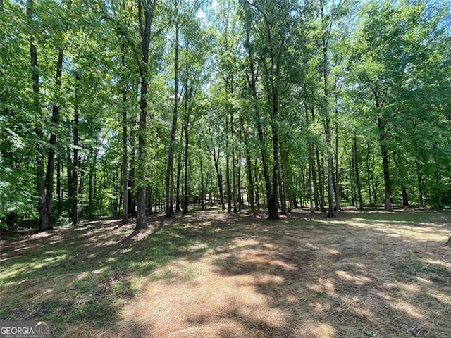 view of local wilderness with a wooded view