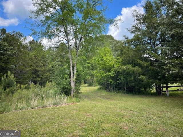 view of yard with a wooded view
