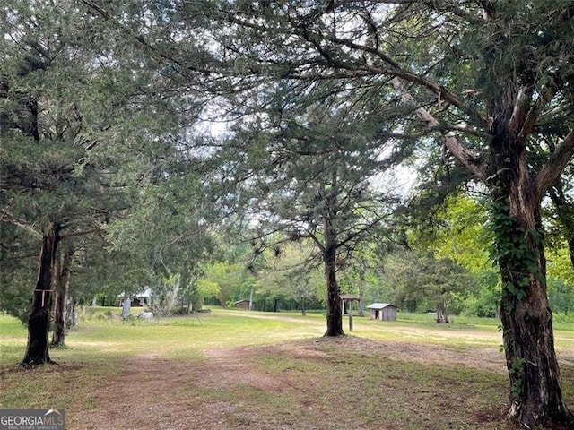 view of yard featuring an outdoor structure, a storage shed, and a view of trees
