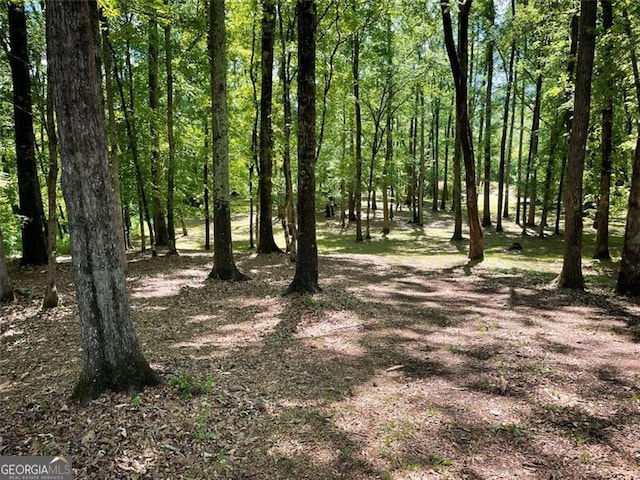 view of local wilderness