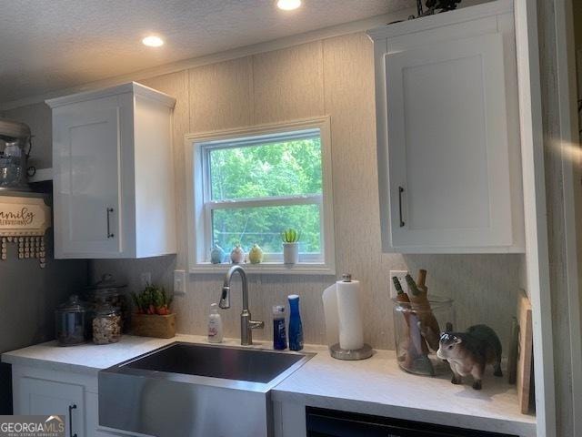 196 SE Stembridge Rd SE, Milledgeville, GA 31061 - kitchen featuring a sink, light countertops, white cabinets, and a textured ceiling