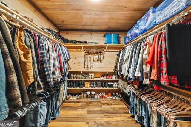 194 Blue Sky Overlook, Blue Ridge, GA 30513 - walk in closet with wood-type flooring