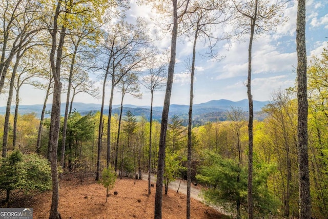 194 Blue Sky Overlook, Blue Ridge, GA 30513 - view of mountain feature featuring a forest view