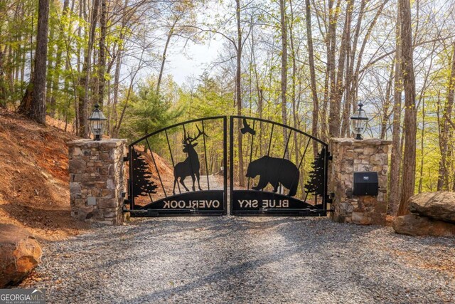 194 Blue Sky Overlook, Blue Ridge, GA 30513 - view of gate