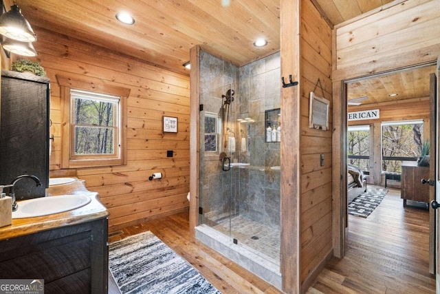 283 Blue Sky Overlook, Blue Ridge, GA 30513 - full bath featuring a sink, wooden ceiling, and a wealth of natural light