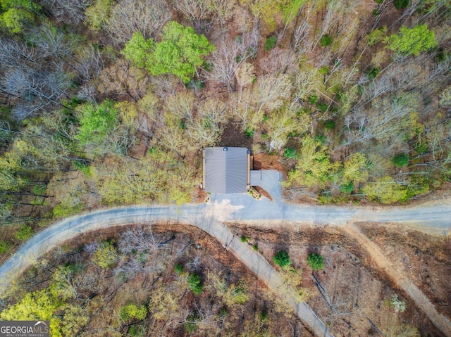 283 Blue Sky Overlook, Blue Ridge, GA 30513 - drone / aerial view