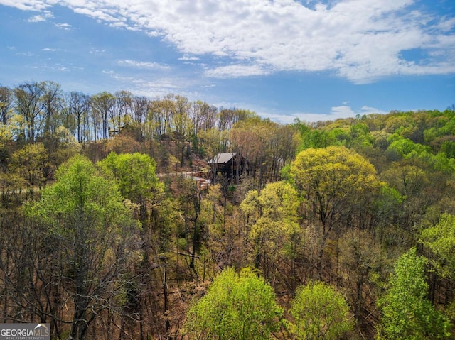 283 Blue Sky Overlook, Blue Ridge, GA 30513 - aerial view with a forest view