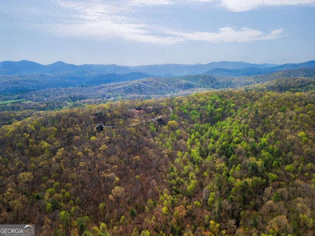 283 Blue Sky Overlook, Blue Ridge, GA 30513 - mountain view featuring a wooded view