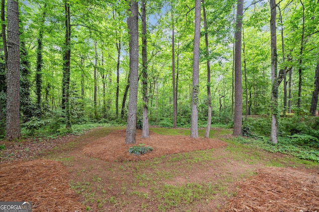 view of yard featuring a view of trees