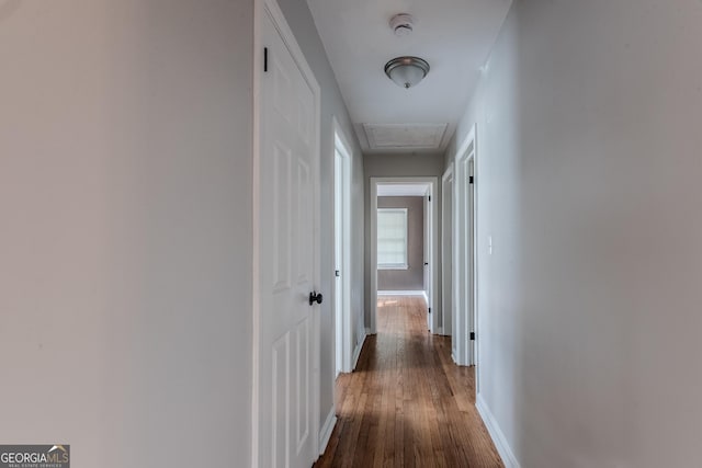 2174 Beecher Rd SW, Atlanta, GA 30311 - hallway featuring dark wood-style flooring and baseboards