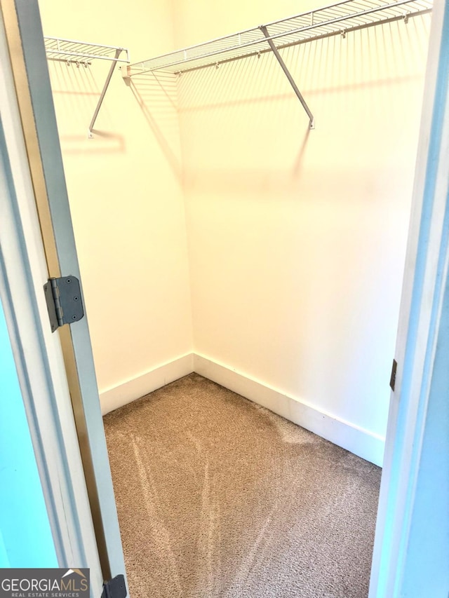 walk in closet with light carpet