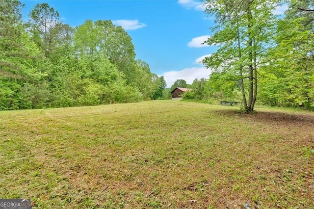 2791 Back Valley Rd, Lyerly, GA 30730 - view of yard