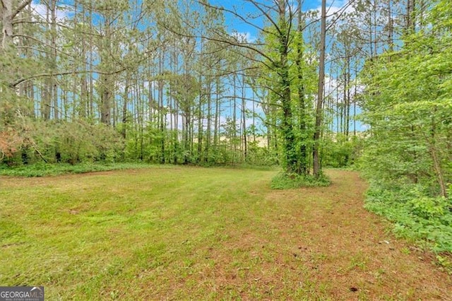 2791 Back Valley Rd, Lyerly, GA 30730 - view of yard