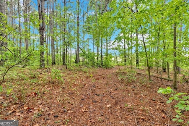 2791 Back Valley Rd, Lyerly, GA 30730 - view of landscape