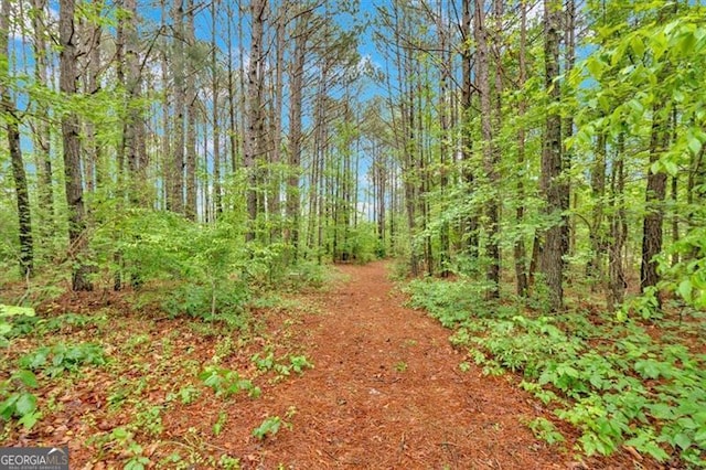 2791 Back Valley Rd, Lyerly, GA 30730 - view of landscape featuring a wooded view