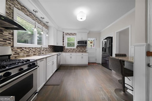 kitchen featuring decorative backsplash, white cabinets, a sink, stainless steel appliances, and dark wood-style flooring