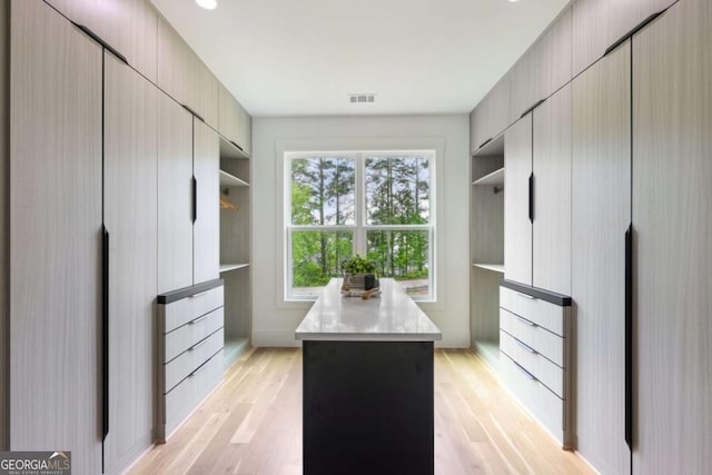 1255 E M Croy Rd, Sugar Hill, GA 30518 - walk in closet with light wood finished floors