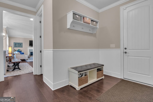 mudroom featuring a fireplace, dark wood-style flooring, ornamental molding, and a wainscoted wall