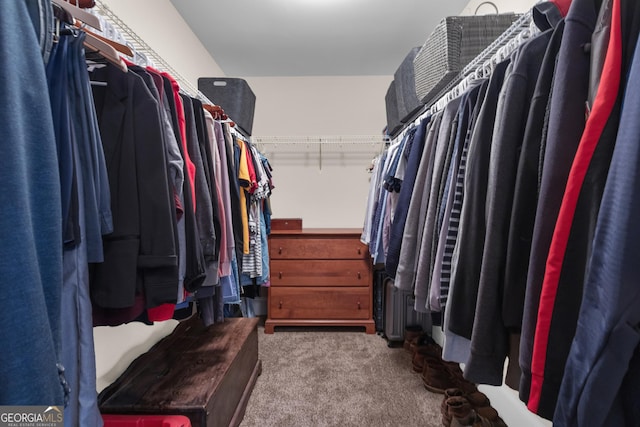 walk in closet with carpet flooring
