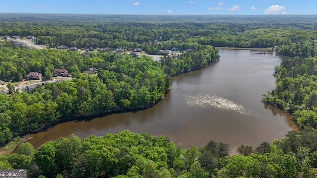 bird's eye view featuring a water view and a wooded view