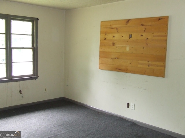 empty room with carpet flooring, plenty of natural light, and baseboards