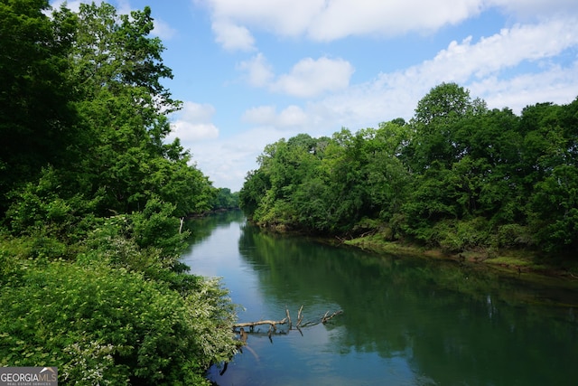 2566 Summit Cove Dr, Duluth, GA 30097 - water view featuring a forest