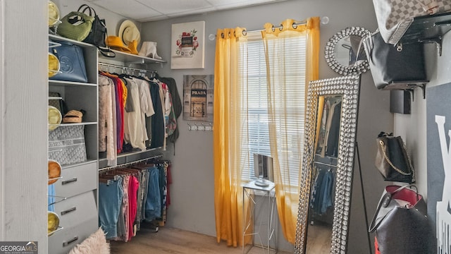 1401 Aberdeen Ct, Mcdonough, GA 30253 - spacious closet featuring a drop ceiling and wood finished floors