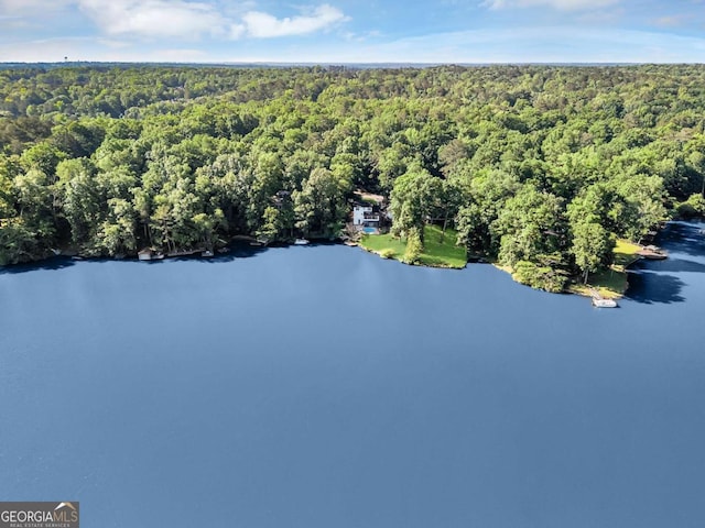 276 Greentree Pkwy, Macon, GA 31220 - drone / aerial view featuring a view of trees and a water view