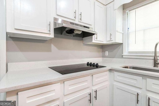 kitchen with a sink, under cabinet range hood, white cabinetry, and black electric cooktop