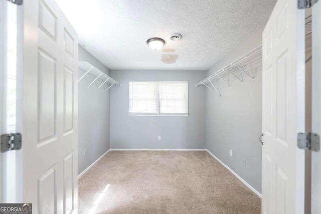 walk in closet featuring carpet