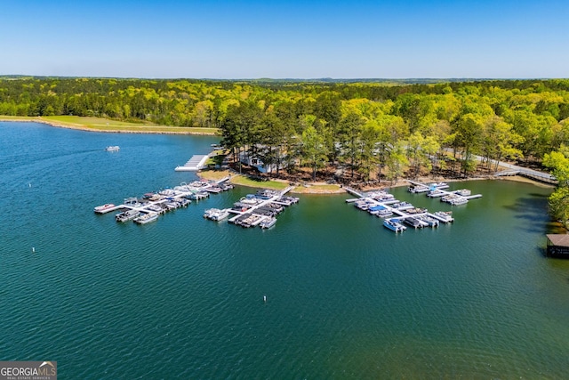 birds eye view of property featuring a water view and a view of trees