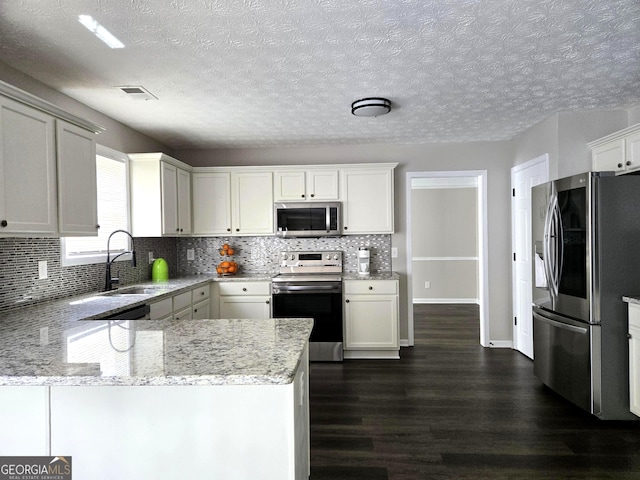 kitchen featuring dark wood-style floors, a sink, backsplash, and stainless steel appliances