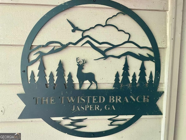 296 Fairview Ct, Jasper, GA 30143 - view of details
