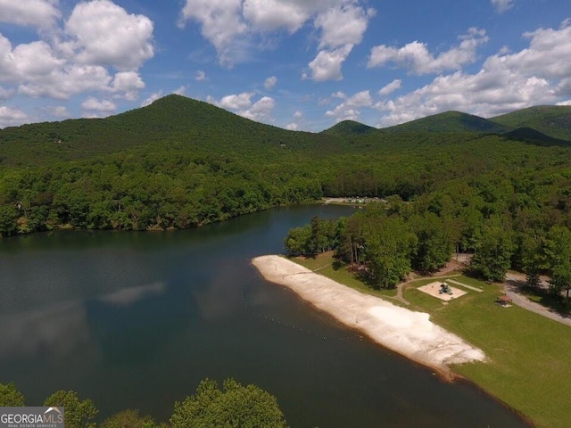 296 Fairview Ct, Jasper, GA 30143 - birds eye view of property featuring a water and mountain view and a forest view