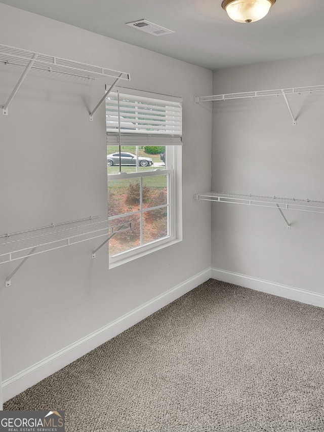 spacious closet featuring carpet and visible vents