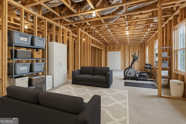 97 Fieldstone Ln, Dallas, GA 30132 - basement featuring carpet flooring