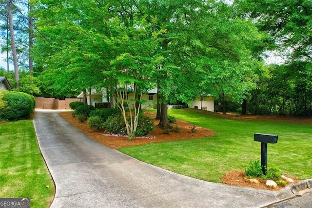 5785 Timberlane Ter, Sandy Springs, GA 30328 - view of community featuring a lawn and driveway