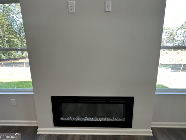 details with a glass covered fireplace, baseboards, and wood finished floors